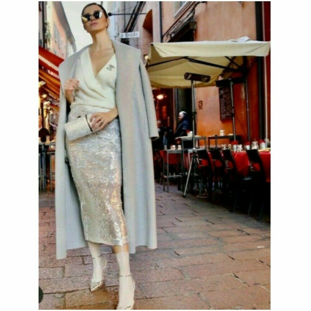 NWT Zara White Silver Runway Style Sequin Pinterest Bloggers Fav Skirt- REF#7697 image 10