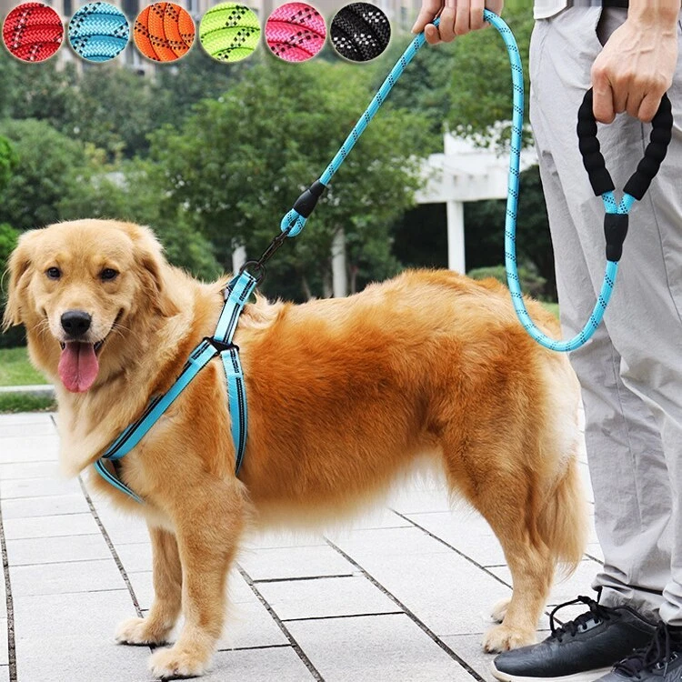 Dog Leash Pet Leashes Reflective Leash Large Dog Leash Drag Pull Leash |  eBay