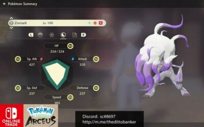 Zorua Shiny ✨ Legends Pokémon Arceus 6 IV Max Effort Custom Ot Level Gender Alph 1 - Foto 12