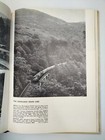 Bild 11 von 13