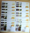 50 x Brasilien 2013 Mi. 4099 FDC Ersttagsbrief Besuch Papst Franziskus Francesco