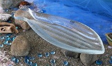 CRATE & BARREL SHOAL FISH PLATTER –NWT- WHAT A GREAT CATCH FOR THE DINNER TABLE!