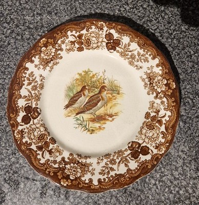 Royal Worcester Palissy Spiel Serie Woodcock Teller