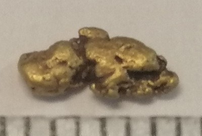 Goldnugget Barren Gold Investment Yukon Kanada  6,4 mm Zertifikat 261