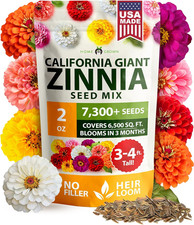 Zinnia Seeds California Giant Mix Bulk 2 oz 7,300+ Seeds Pollinator 121.68 per gallon