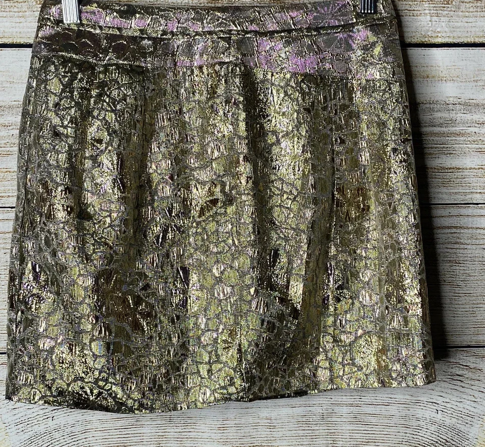 Kimchi 蓝色裙 4 码内衬侧拉链金属色多色 26x16 — 第 2/4 张图片