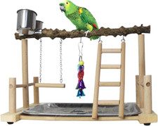 Bird Playground,Parrots Play Gym,Parakeet Play Stand with Prickly Ash Wood Perch
