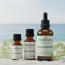 Organic Sea Fennel Essential Oil 100 Pure Natural Free Shipping