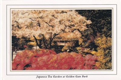 Japanese Tea Garden at Golden Gate Park, San Francisco ~ Used ~ Unposted