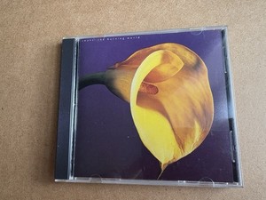 Swans CD | eBay