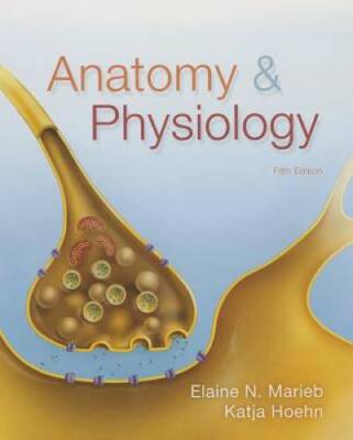 Anatomy  Physiology (5th Edition) - Hardcover By Marieb, Elaine N - GOOD