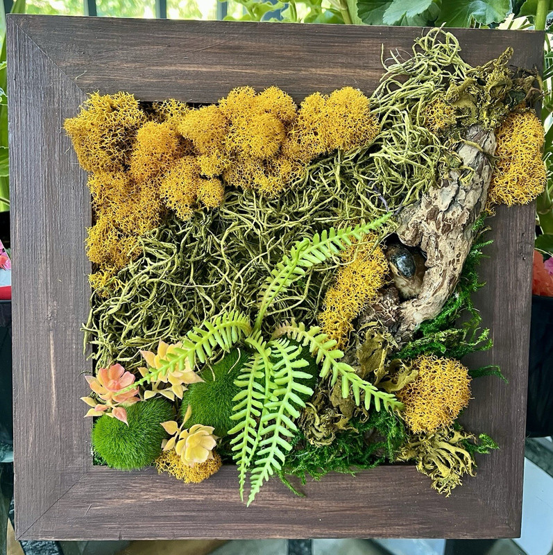 Framed Square Wood Moss Art Wall Decor w/ Succulents Fern Faux Greenery