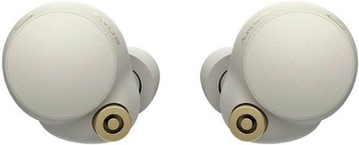 True Wireless   Noise Cancelling   Silver