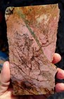 rawk11: Rhodonite slab-Pink+Green inclusions-Location Unknown  — photo 3