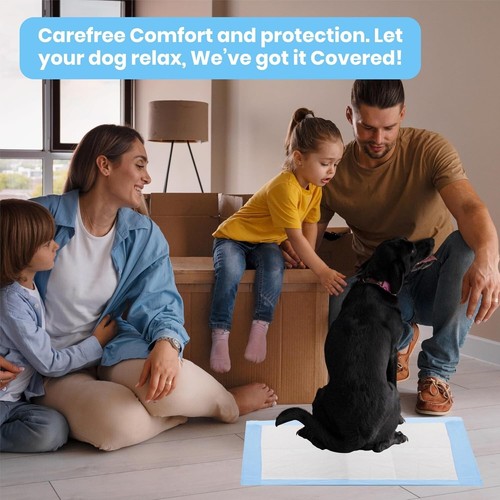 100 Pet Training Pads for Dogs 36x36" Unscented Ultra-Absorbent 2XL Potty Pads - Picture 15 of 16