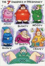 Pregnancy Dwarves Funny Dan Collins New Baby Card - Greeting Card by Nobleworks