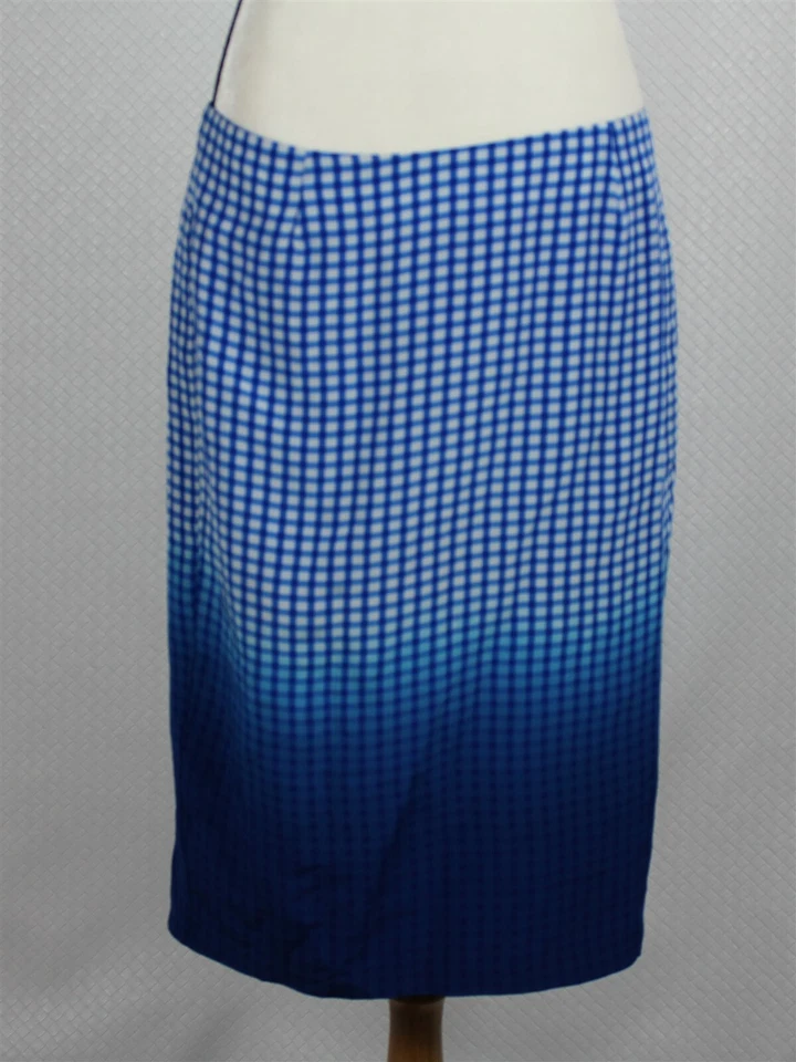 全新带标签 Baily 44 女式裙 10 蓝色格子长袍 100% 真丝直 Astley 美国 — 第 3/4 张图片