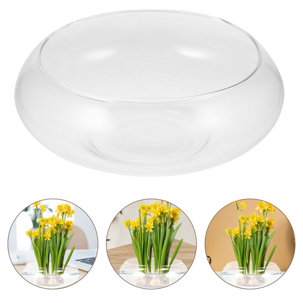 Clear Glass Hydroponic Planter for Desktop Small Plants