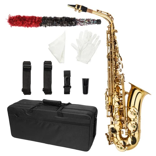 Alto Eb Saxophone Sax Gold w/ Case Mouthpiece & Accessories School Band