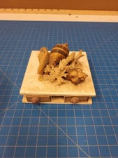 Vintage Seashell Trinket Box Match Holder Beach Coastal Decor Seashells Coral