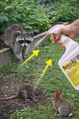 Bonide Repels All Animal Repellent   Garden Protection Spray