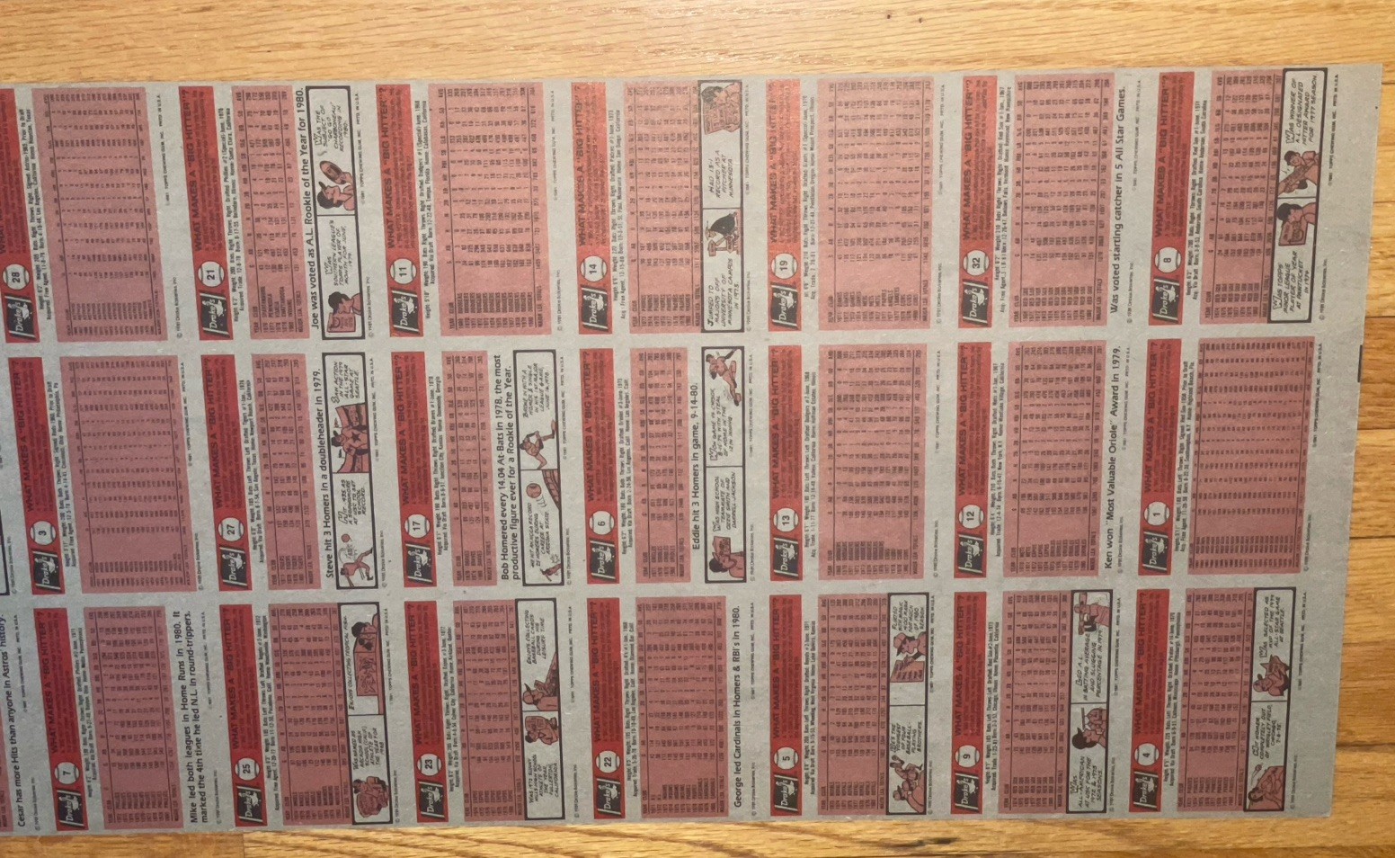 Picture 14 of 16