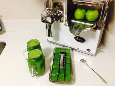 cold press Norwalk juicer model 275 | eBay