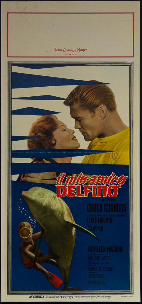 Locandina di Il mio amico delfino (1963)