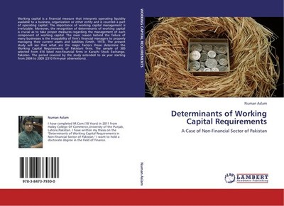 Determinants of Working Capital Requirements Numan Aslam