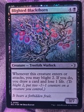 Blighted Blackthorn 90 Common Lorwyn Eclipsed Magic: The Gathering Foil NM