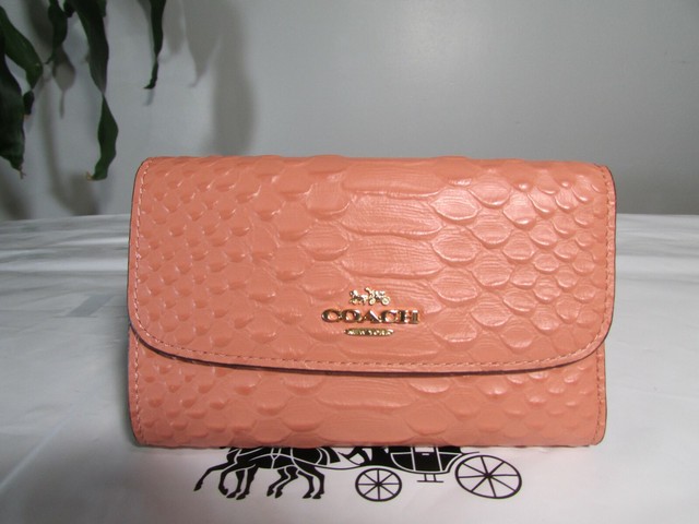 coach python wallet