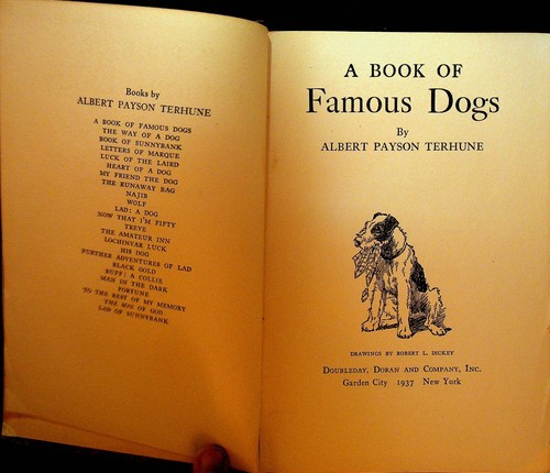 A Book of Famous Dogs by Albert Payson Terhune 1937 First Edition - Picture 4 of 6