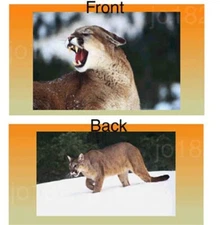 Cougar Roar Vinyl Checkbook Cover with Matching Bookmark