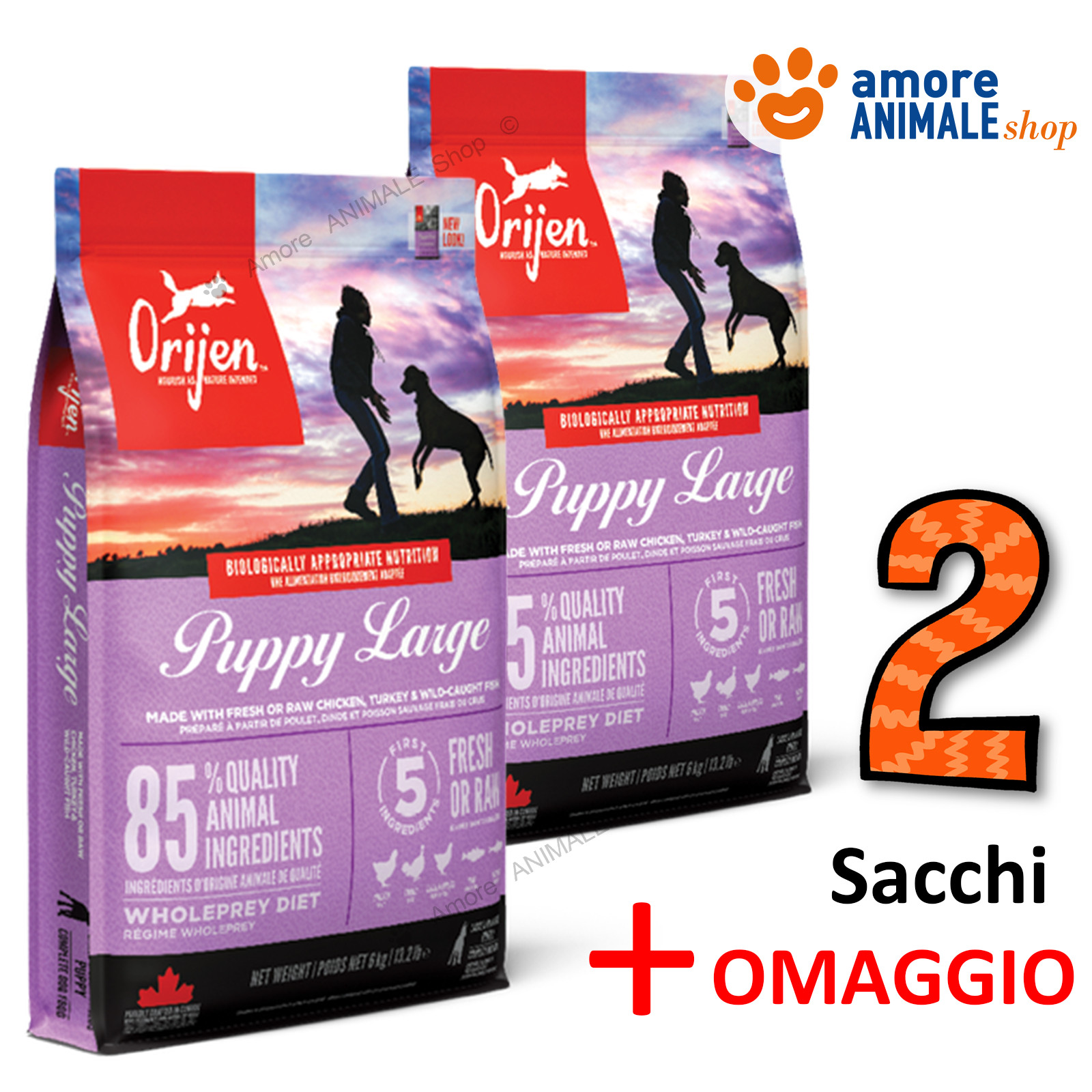 Orijen Dog PUPPY LARGE BREED → 11,4 kg - Secco per Cuccioli di Taglia Grande img 1