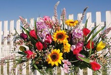 Selle pierre tombale jour commémoratif des mères jacinthe lilas tournesol pierres tombales fleurs