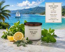 3 wick  BASIL SAGE & MINT scented Christmas is Everyday Candle 16 oz