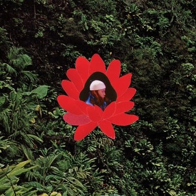 LIONMILK - WHEN THE FLOWERS BLOOM - Vinyl Record 12 RECORD - G3z