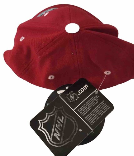 Authentic Zephyr Red Wings Hat Stretch Size M/L - Picture 3 of 14