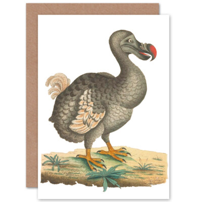 Vogel Dodo Vintage Illustration Grußkarte mit Umschlag