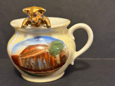 SCHENECTADY, NY, COURT HOUSE, SOUVENIR CUP WITH PIG OVER THE TOP!