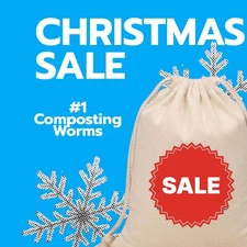 (JIGS) PURE Red Wigglers Composting Worms - Approx 1,000 Worms, 1 Lb. - NO BLUES