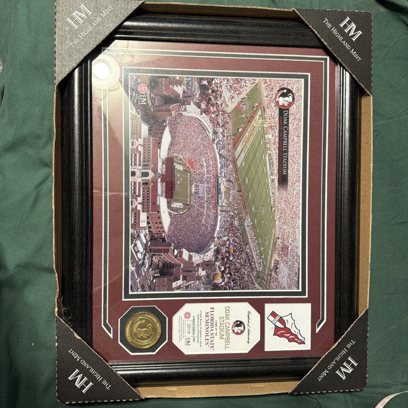 Framed FSU Stadium Photo