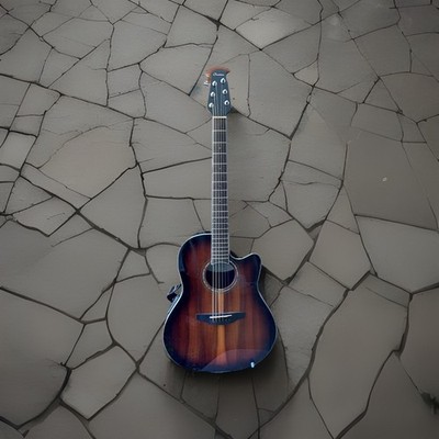 Ovation Westerngitarre Nichtraucher Studio