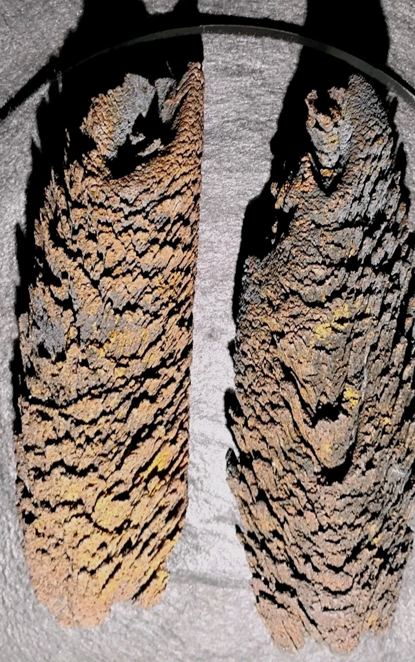 Arte de escultura oxidado de molienda de rieles de tren antiguos raros. 11" Foto 2 de 4