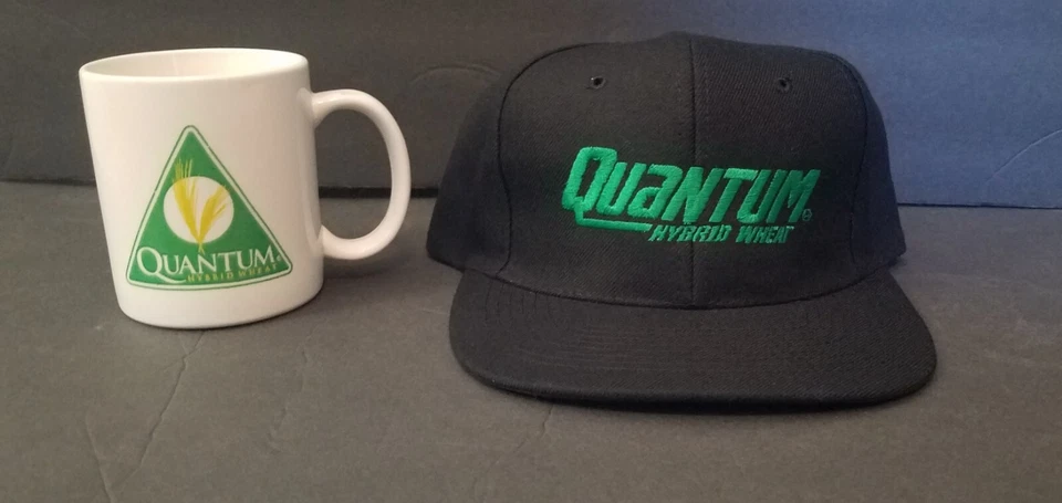 Quantum混合小麦、帽子、咖啡杯  Strapback 全新 — 第 2/4 张图片