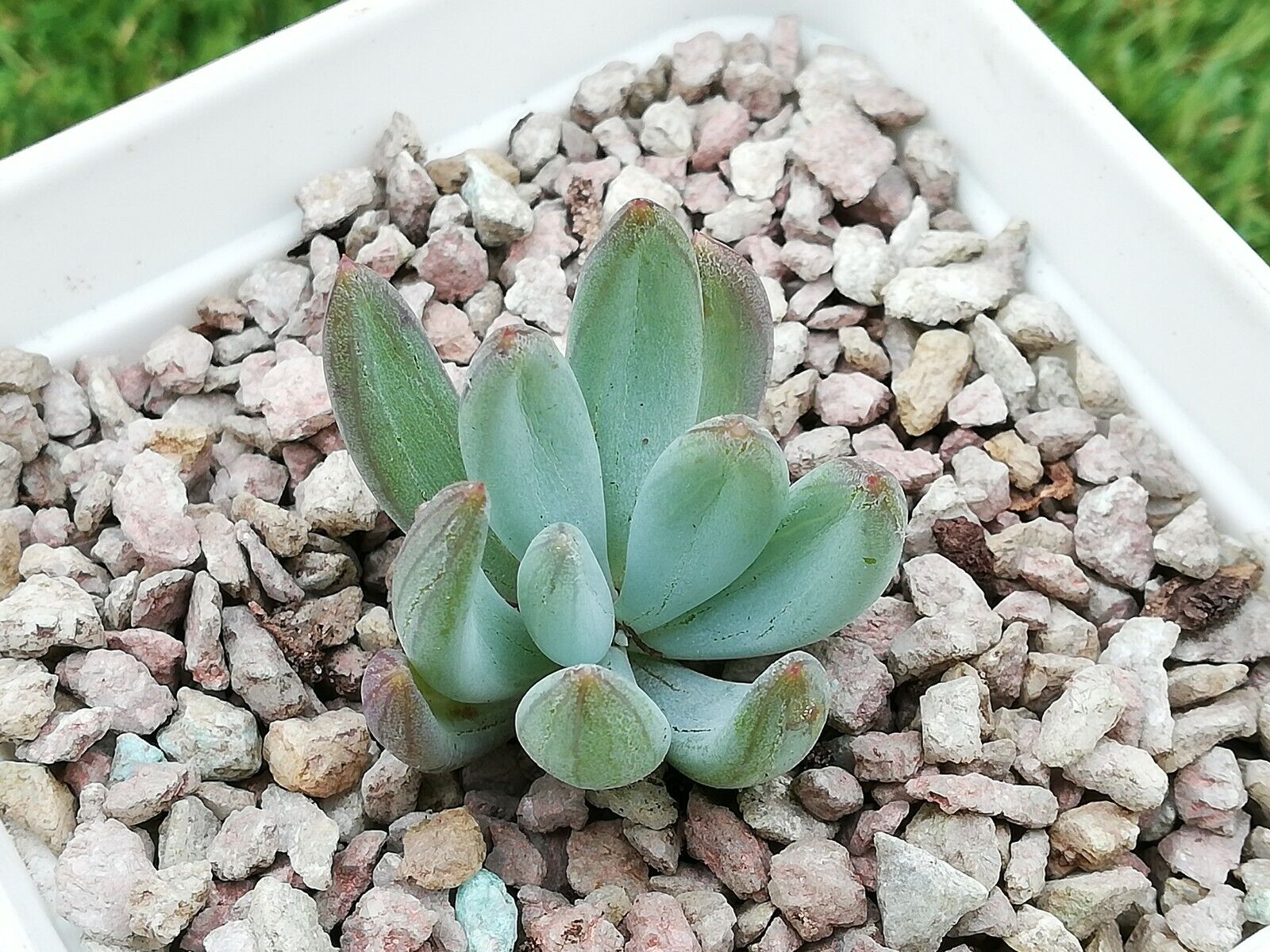 Picture 6 of 7
