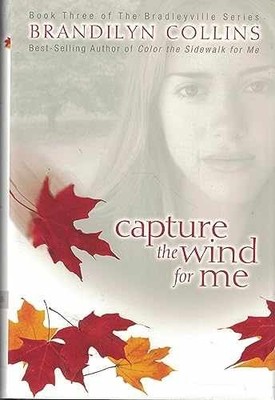 Capture the Wind for Me - Hardcover, by Brandilyn Collins - Very Good g