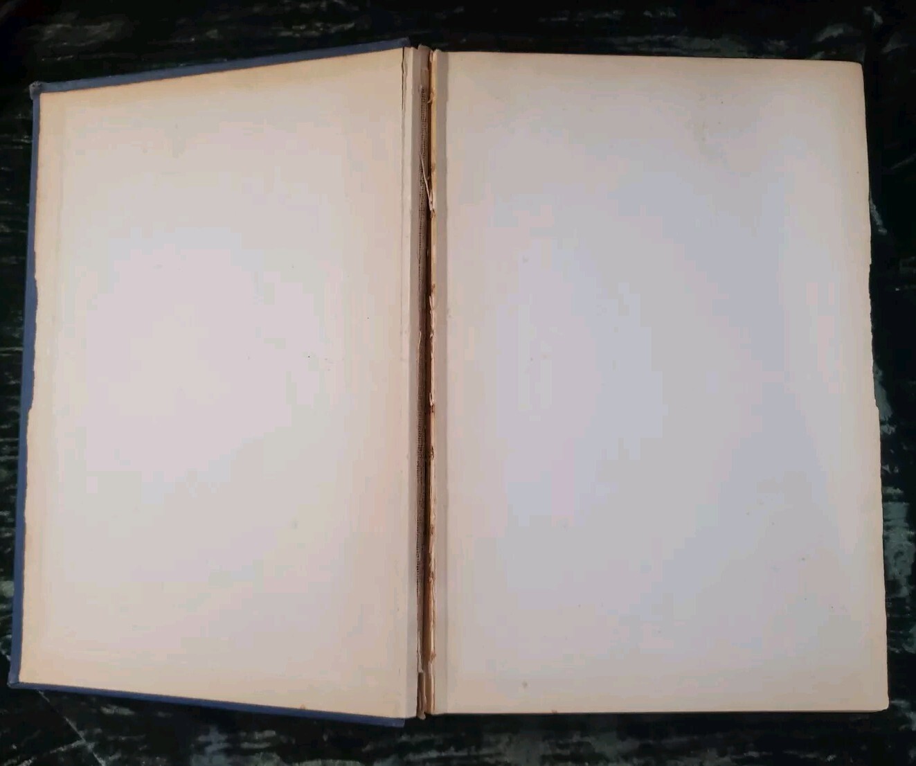 Picture 4 of 11