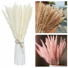 15PCS Natural Dried Pampas Grass Reed Flower Wedding Bouquet Home Decors
