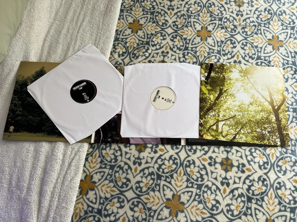 Childish Gambino Camp Exclusive Bonfire Red Vinyl 2LP - Image 4 of 4